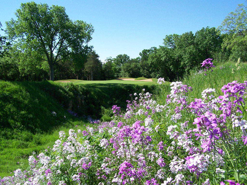 a picture with purple and white flowers here at a local golf course