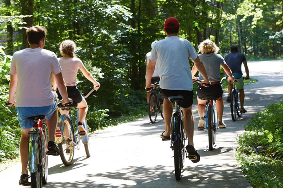 group of bicyclists riding on a path through the sunlit woods